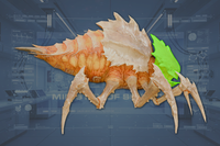 Head side view