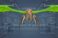 Wings (2) front view