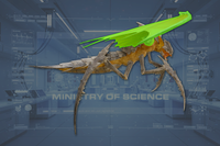 Wings (2) side view