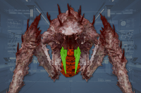 Claws (2) front view