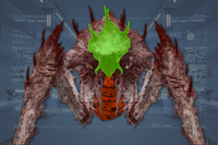 Head front view