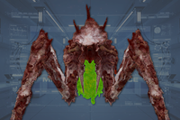 Underside front view