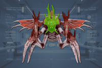 Head front view
