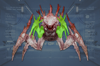 Claws (2) front view