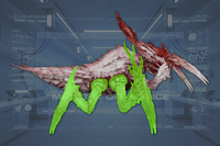 Legs (4) side view
