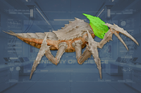 Head side view